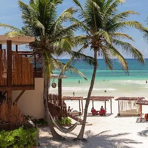 Hotel La Zebra A Colibri Boutique
